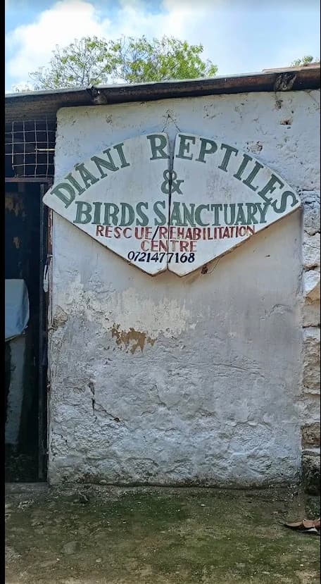 Diani Reptiles (Snake Park)