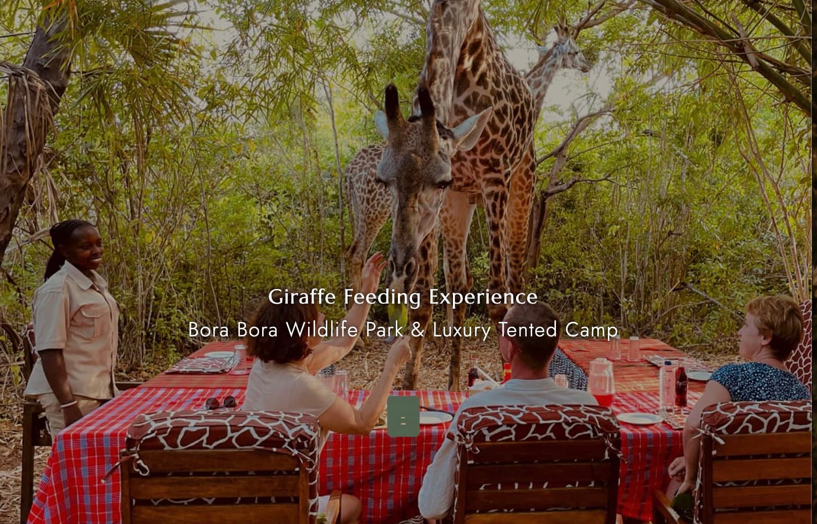 Bora Bora Wildlife Park & Luxury Tented Camp