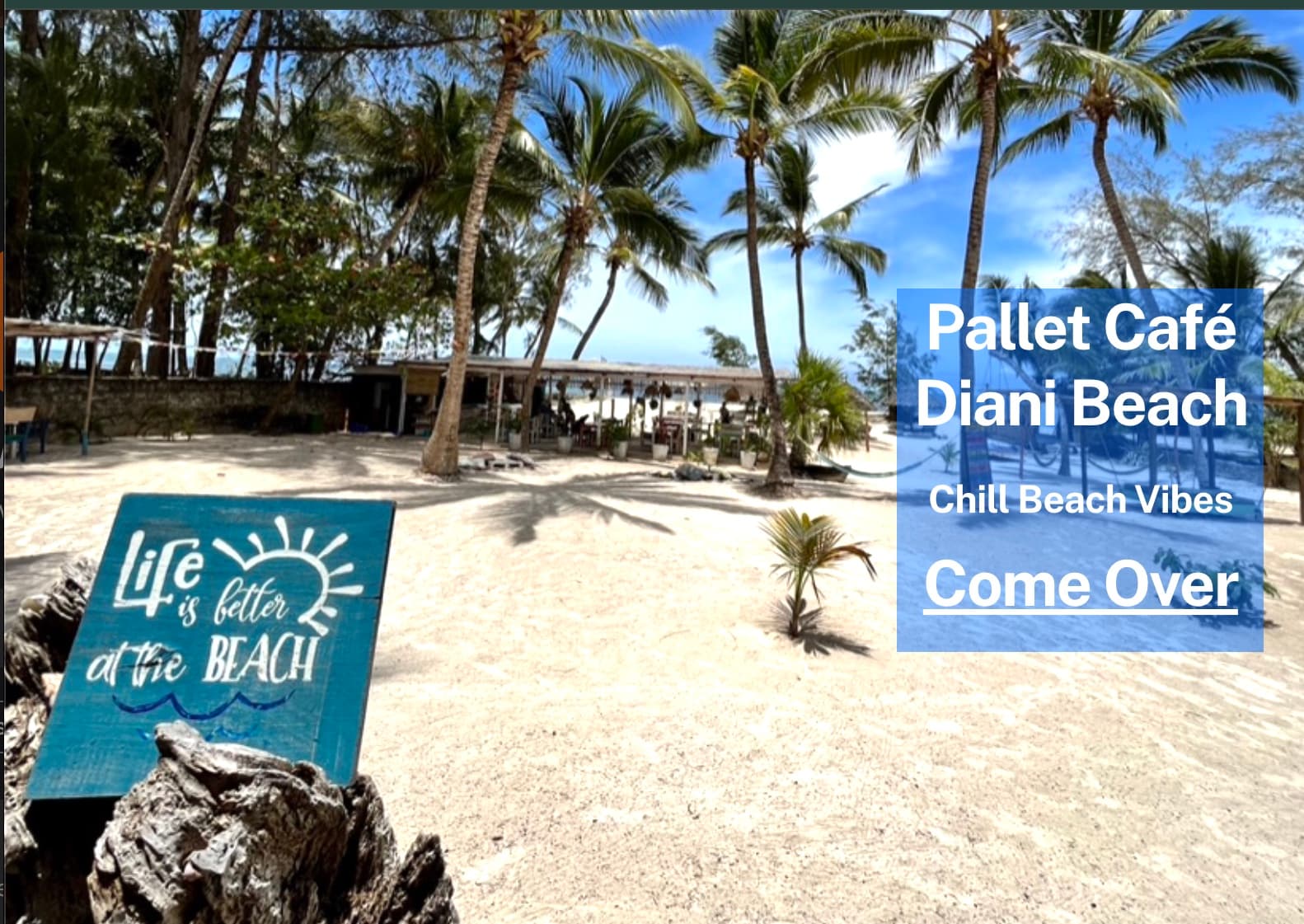 Pallet Cafe - The Beach